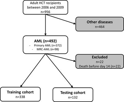 Class I/Class II HLA Evolutionary Divergence Ratio Is an Independent Marker Associated With Disease-Free and Overall Survival After Allogeneic Hematopoietic Stem Cell Transplantation for Acute Myeloid Leukemia